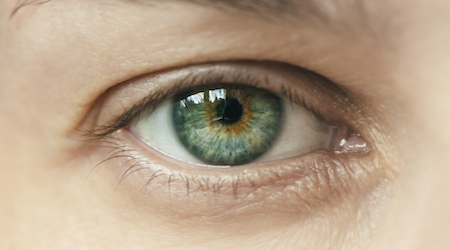 Close-up of female green eye macro shot